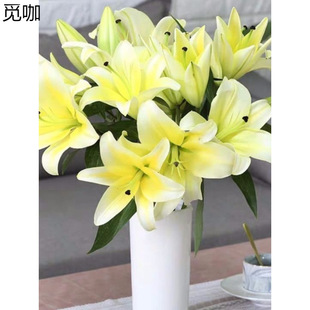 ��ˮ�ٺϻ����^�r������������جF��ֱ�lˮ�B�r���滨���