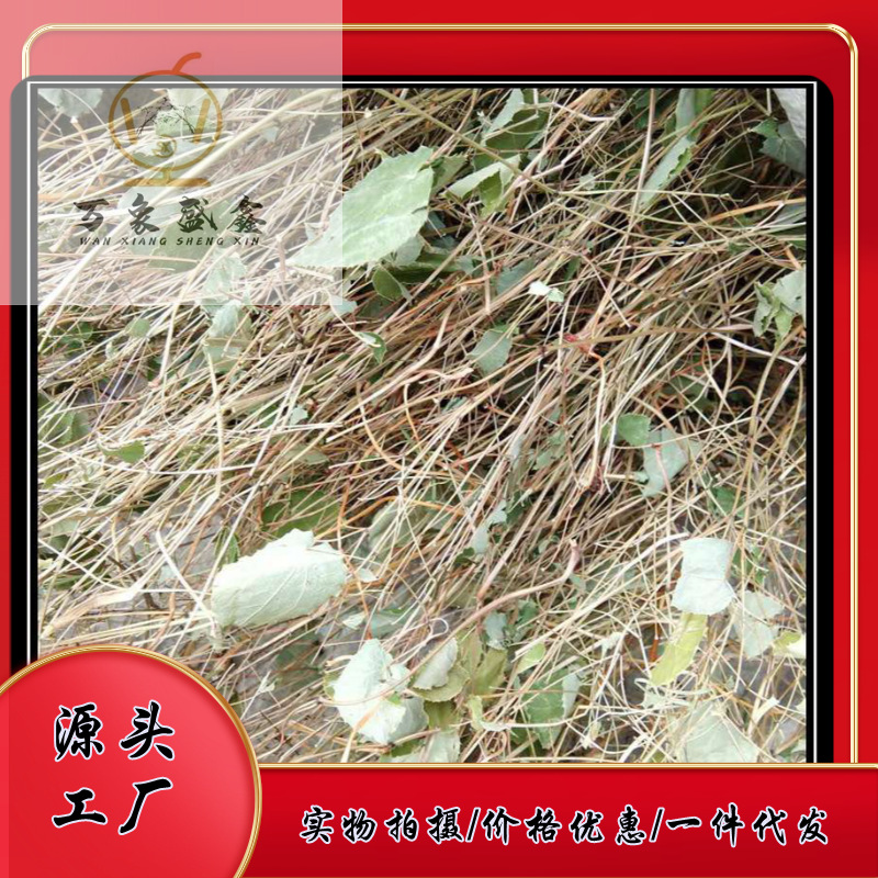 淫羊藿杆子/茎甘肃陇南无杂草小圆叶淫羊藿去掉叶子的茎 产地批发