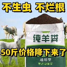 S100ɹ40N߲ˌù仨ͨðlЙCһ