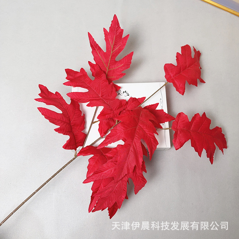 큰 참나무 잎 - 빨간색