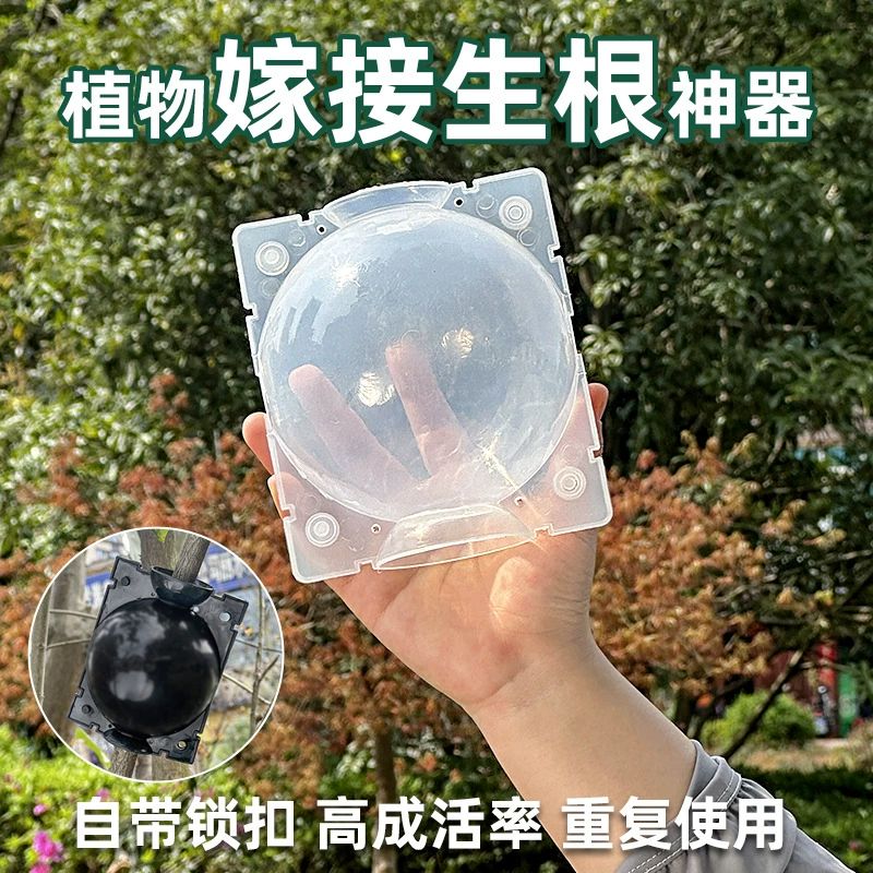 Коробка для размножения и прививки растений высокого давления