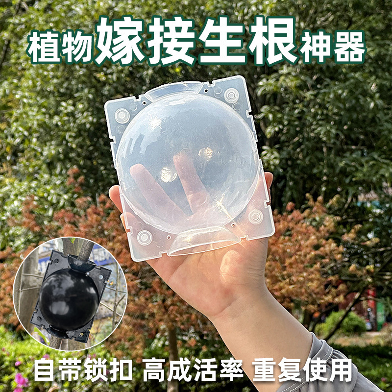 Plant high pressure propagation grafting box flower fruit tree root control artifact cutting propagation ball rooting device seedling propagation device