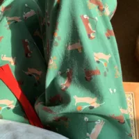 Новый! Ретро зеленая собака хлопковая шлифовальная милая с принтом мультяшная пижака свободные эластичные карманные брюки