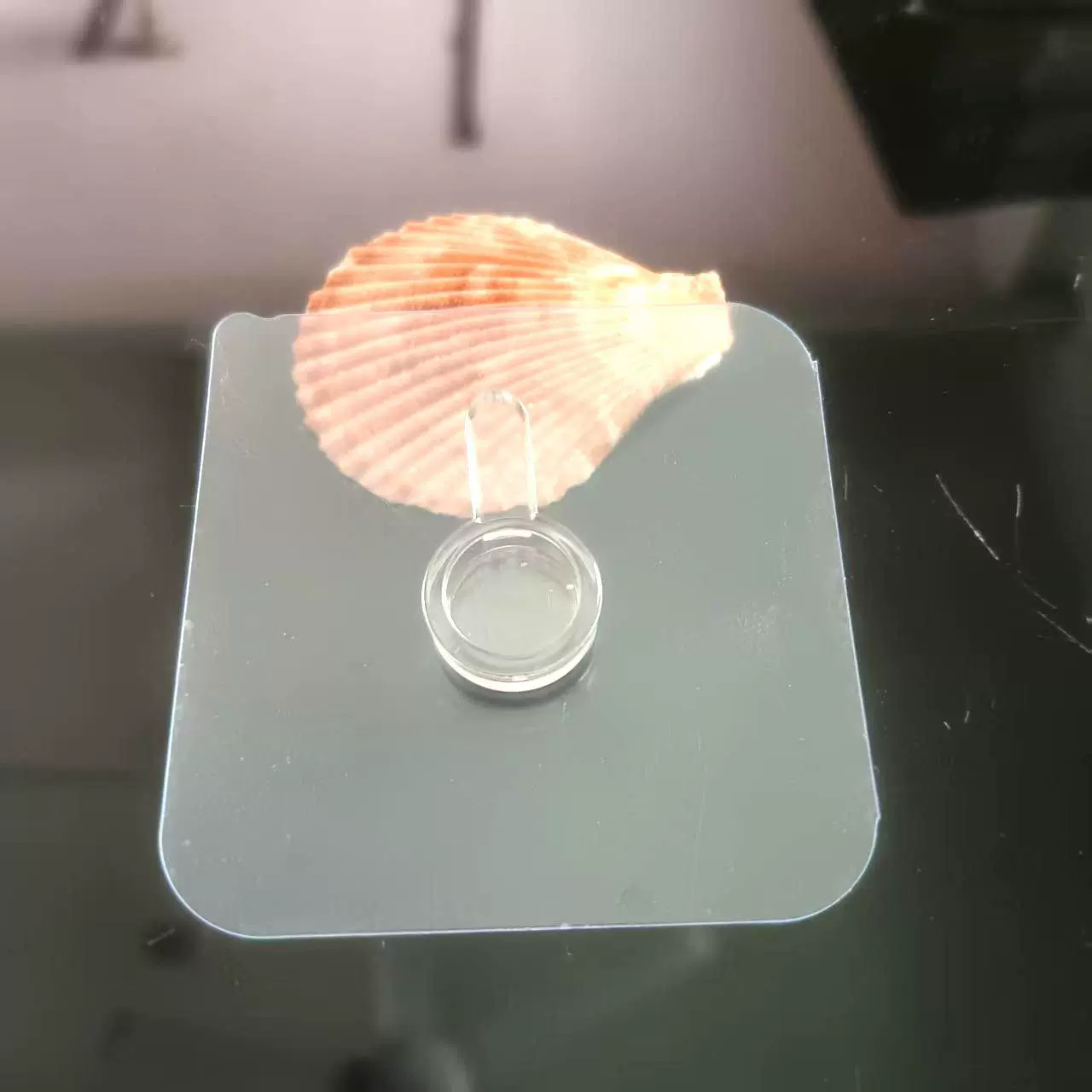 无痕贴片免打孔钉壁挂画相框照片墙钉粘钩置物架配件挂钩北欧风
