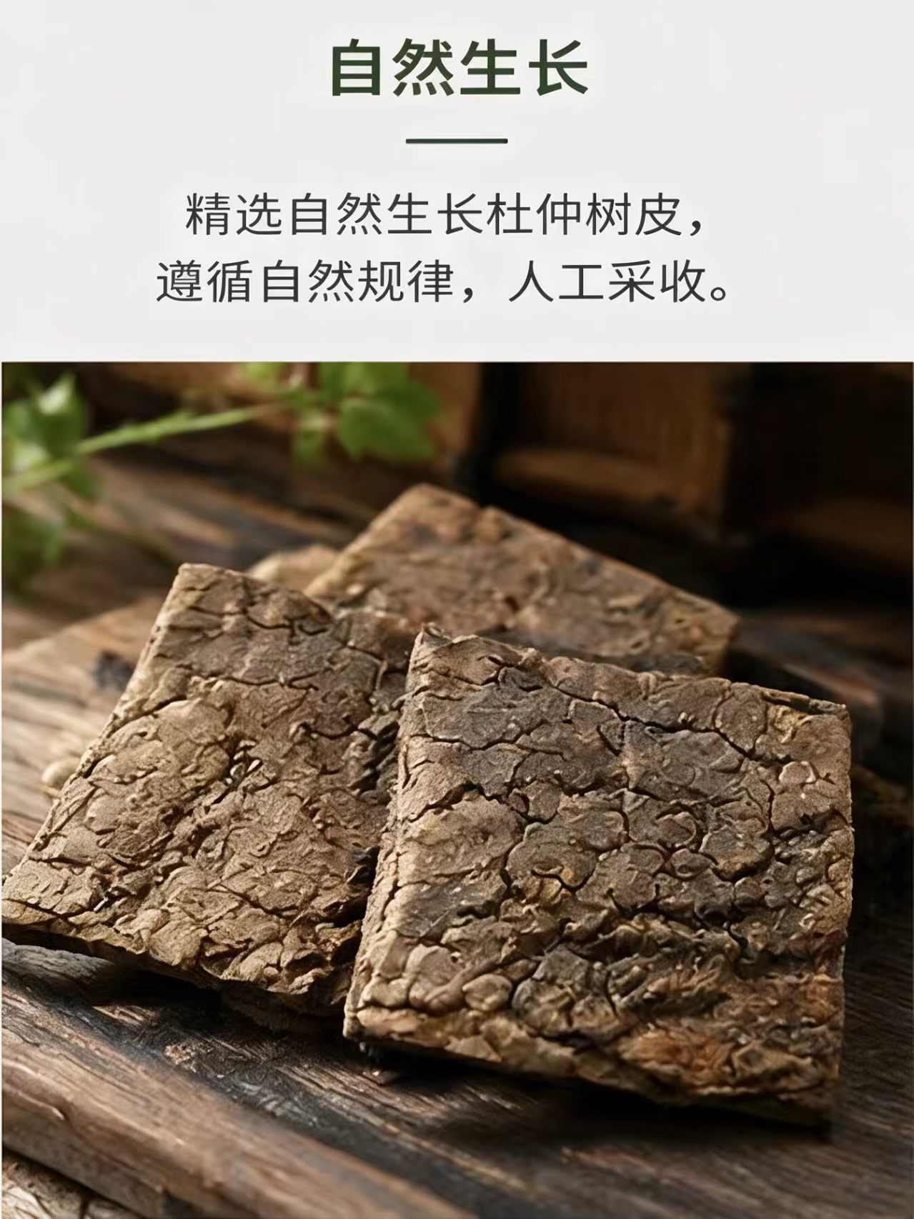 Sichuan Eucommia Bark Du Zhong Thick Slices 1000g Bulk Dried Herb for Decoction Soup and Herbal Wine quality and texture