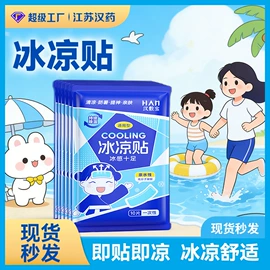 暖贴、暖宝宝;日用冰贴;其他保暖贴/怀炉/保暖用品