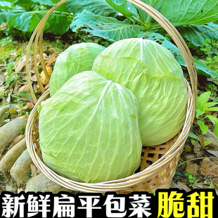 ��������r�Fժ�߲ˈA�G���{���Ĳ�ɏ���ײˬFժ�F�lƽ���Ĳ����l