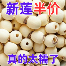 2024��ɏ����ɏ�Ӹ�؛��̶ĥƤȥоɏ�����rĥƤȥ�İ�ɏ�ӳ�С��