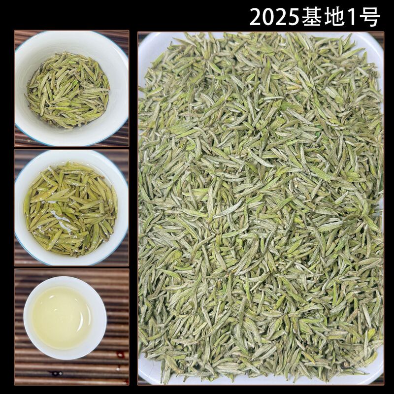2025 Fuding Premium White Tea with Camellia Fragrance, Silver Needle, Pre-Qingming Spring Tea, 500g Wholesale Directly from Manufacturer