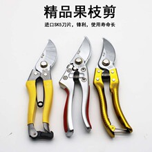 ��ŵ���õ�Ƭ��֦��԰�ּ������߻�֦����԰�ռ�SK5��֦����֦