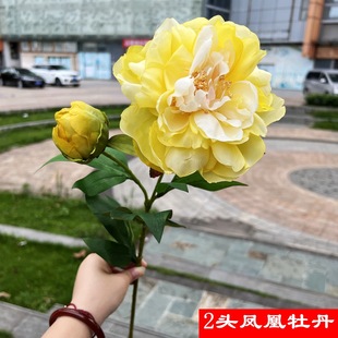 �����Sɫ��ș�S�� 2�^�P��ĵ��ܽ�ػ�Yܛ�b�ҾӾƵ��bٻ����l