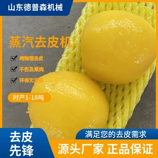 不锈钢桃子土豆蒸汽脱皮机全自动高温葡萄芋头去皮机