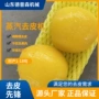 自动高温蒸汽土豆去皮机