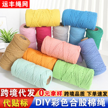 合股棉绳 3毫米粗100米长彩色棉线绳宠物项圈手工编织挂毯装饰绳