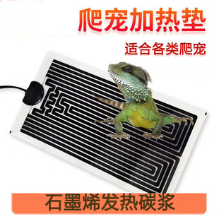 ���x�������{�ؿؼӟ�|���ܶ��~�~�מ����،m֩����o�Ӝؐa�؉|