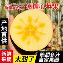 新疆阿克苏冰糖心苹果脆宝新鲜水果一整箱丑苹果大果直发彩箱