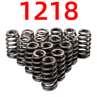 1218 Ƕ��ʽ��C�y����16�׼��m���LS�l�әC