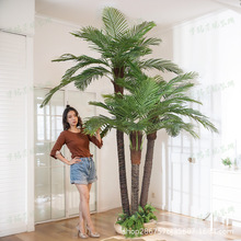 ��Ҭ�Ә��̈��Ƶ���ͼ�Ҭ���ؙ����ȿ���Gֲ�҃��bᎧֲ��