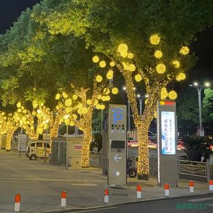 led�ʟ��W�������M���Ǒ��⾰�^������Ο�����������b����