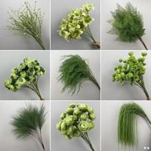 ����M����ɭϵ�ٻ� �Gɫϵ��Y�b��ȼ����Gֲ�쾰