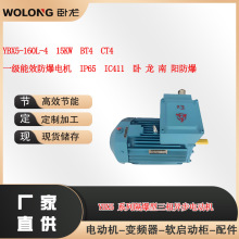 YBX5-160L-4  15KW  BT4  CT4   һ����Ч�������  IP65