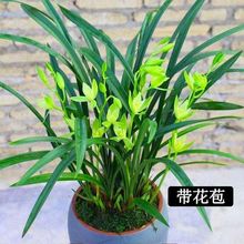 �����;�Ʒ�m���罨�m����������Ů�ļ��_���҃ȿ͏d��������