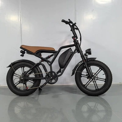 Electric Bicycle – Jianlang Auto Parts and Accessories