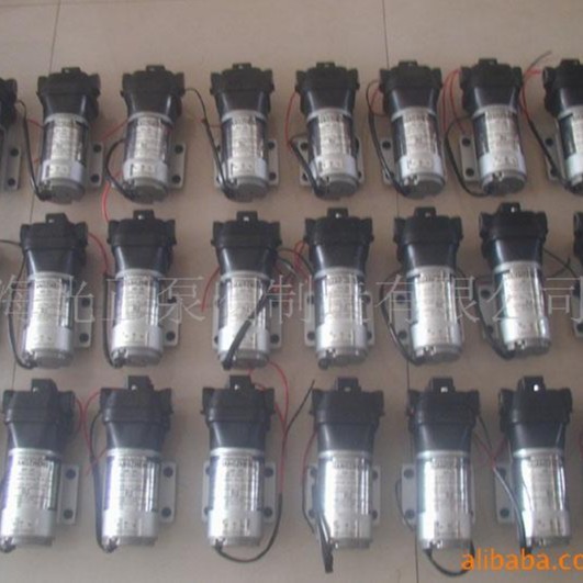 厂家批发销售光正牌DP-100微型隔膜自动增压循环泵净水机增压泵