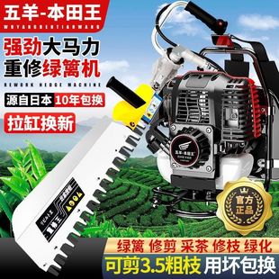 Imported High-Power Hedge Trimmer, Wuyang Gasoline Tea Picker, Tea Tree Pruning Garden Trimmer