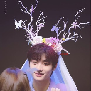 �¿�ɭϵ��֦�l����ŮΨ����ɫϵ¹�ǰl鼆�zӰ�^���