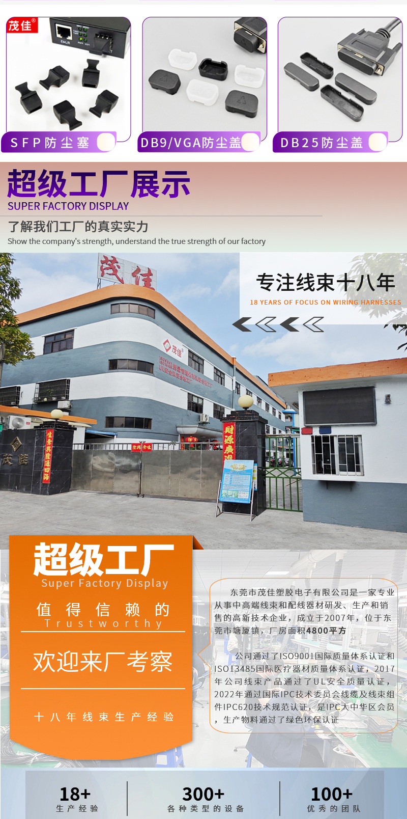 公司详情(中英双版)_02