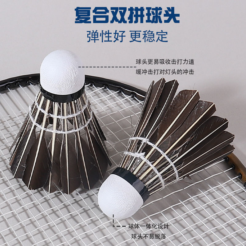 d7416a84-780e-4e12-bd75-96915e884dd9.jpe