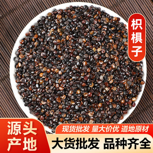 �ח��� �՗�����ș���ח��� ���]��ĥ�� ����ă�