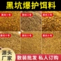 黄面定制散装鲤鱼鲫鱼饵