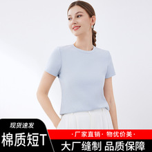 Ů���b2026�¿���T��Ů�����ɫ�ٴ���A��T�������@�ݚ��|����