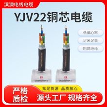 Դ�^�S��YJV22�~о��|�͉������| 2-5о������ȼ�����z�b��|