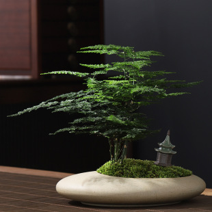 �����՚��ļ����ఫ�����~�������Ի��ܾGֲ�����Ժ��҃Ȳ���辰