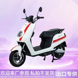 其他电动车;其他摩托车