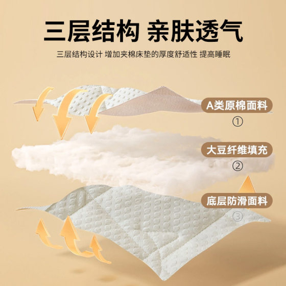Class A Soybean Mattress Cushion Dirty-proof Machine Washable Thin Cushion Mattress Non-slip Embroidered Bed Pad
