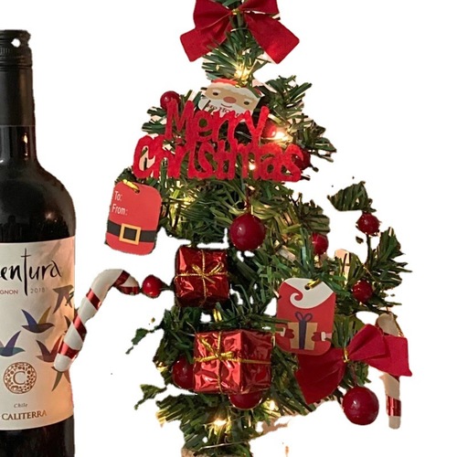 Christmas tree mini Christmas decoration package 30/45/60/90 handmade diy foldable encryption home set