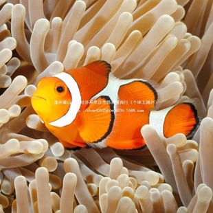 �~�^�p�~С��ӡ��ѩС���~��ĪС���~�����˹�����ںں�ˮ�����~