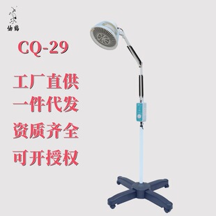 ���Q��CQ-29���tdp�ض�늴Ų��V�ί����x���������h�t�⾀�ؑc