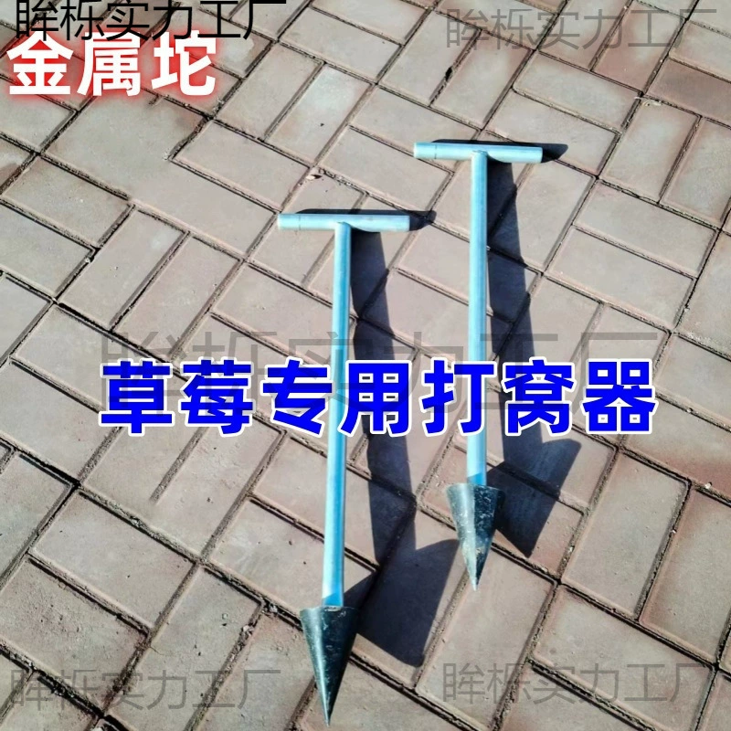 Инструмент для посадки клубники для копки ям и посадки клубничных рассады.