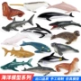儿童实心海底世界认知玩具