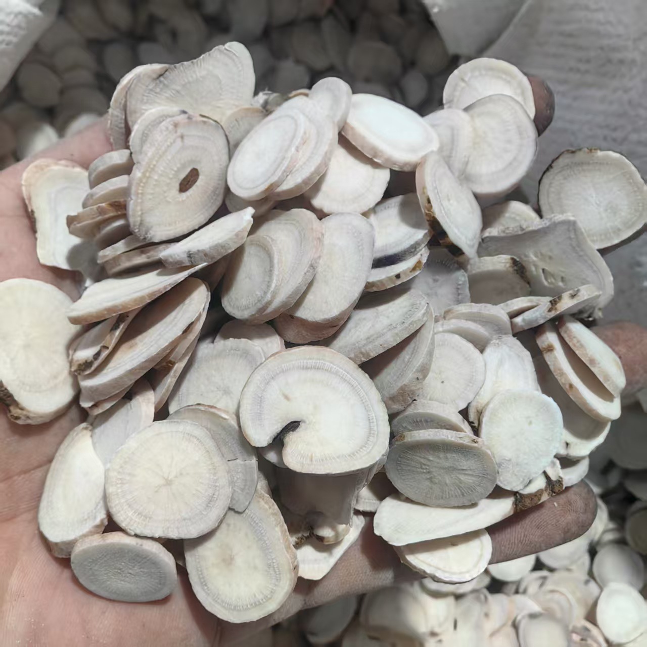 White Peony Root Slices Bai Shao 白芍 Sulfur-Free Dried Herb for Decoction and Powder quality and texture