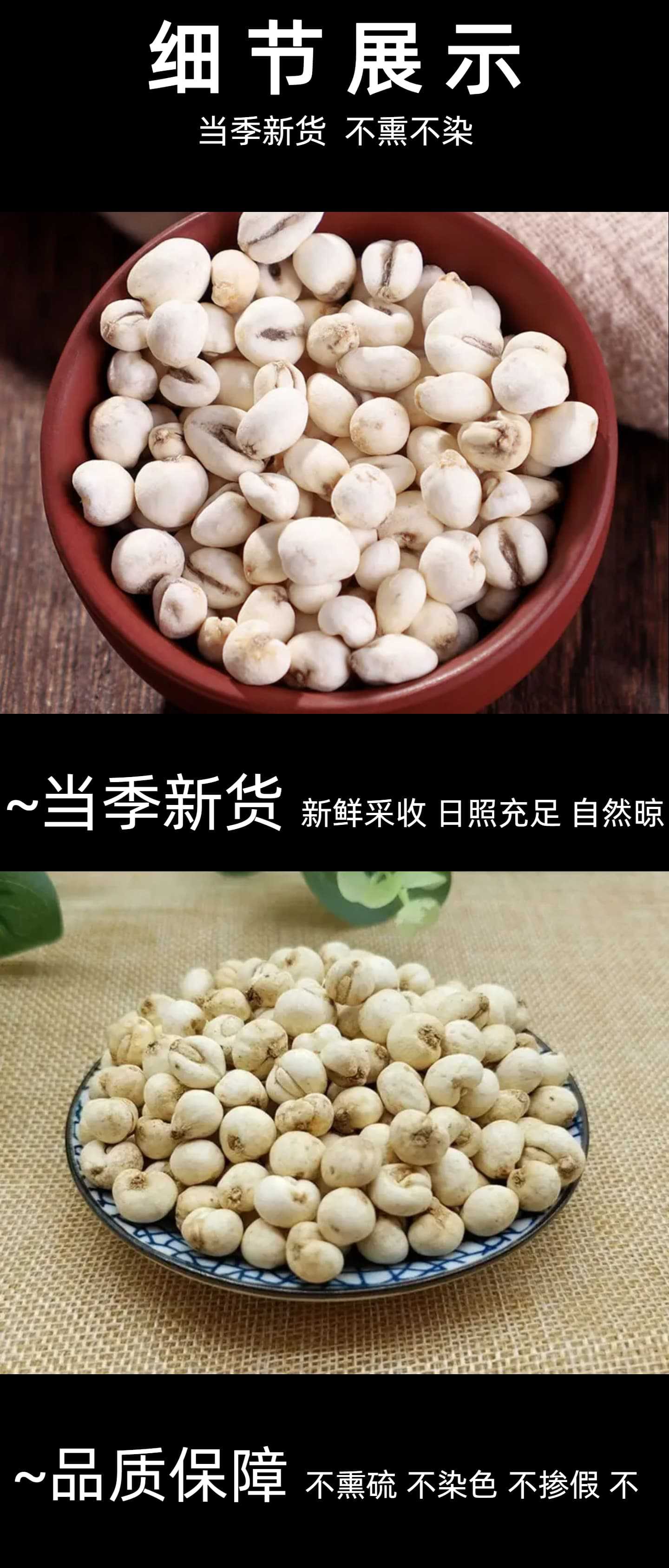 Ping Bei Mu Dried Fritillaria Bulb 500g Sulfur-Free Sun-Dried Herb for Soup and Congee quality and texture
