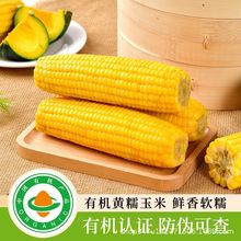 �|���ЙC���װ�����Ŵ���ת�����հ��bһ�����l���l