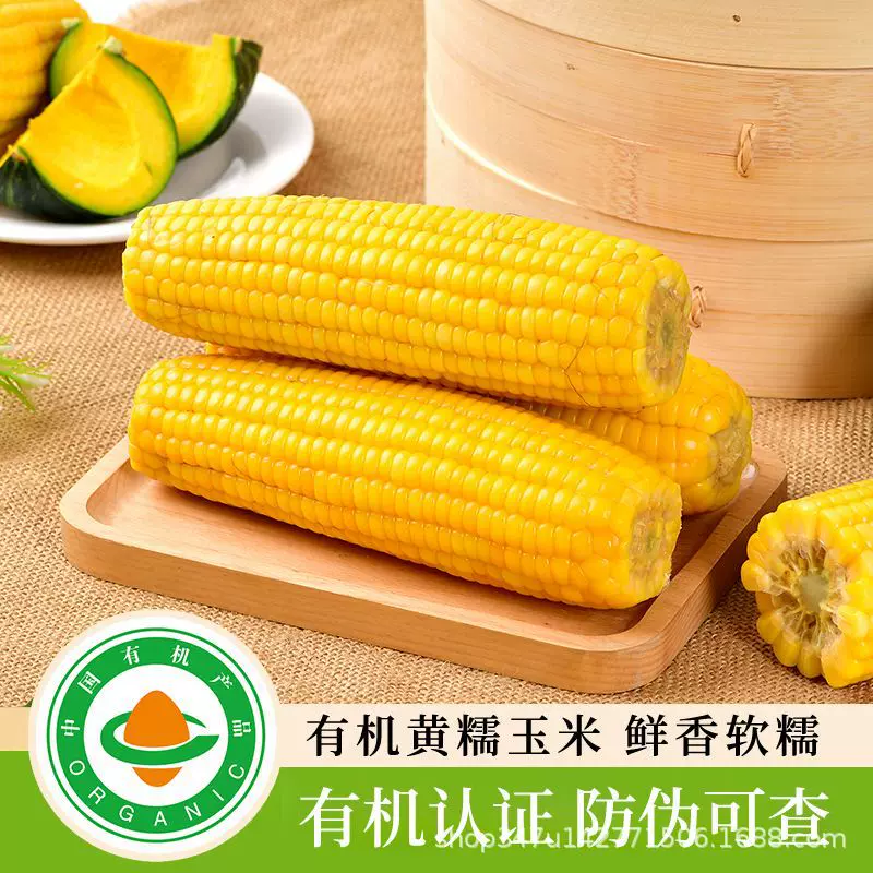 东北有机玉米棒吉林糯玉米独立真空包装一件代发批发