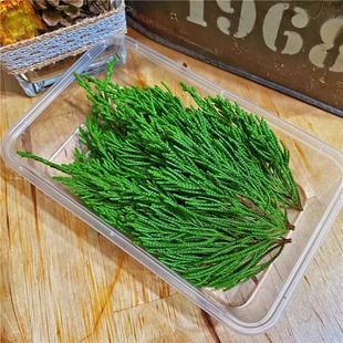 ?�}�Q�b����������r�G����֦���~����r��diy���ϰ��ֹ������c