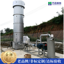 垃圾填埋场300立方内燃式沼气火炬燃烧焚烧污水处理工程产品定制